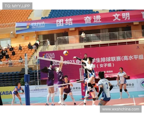 排球热点分析：西安排球队节奏与战术的深度解读与探讨