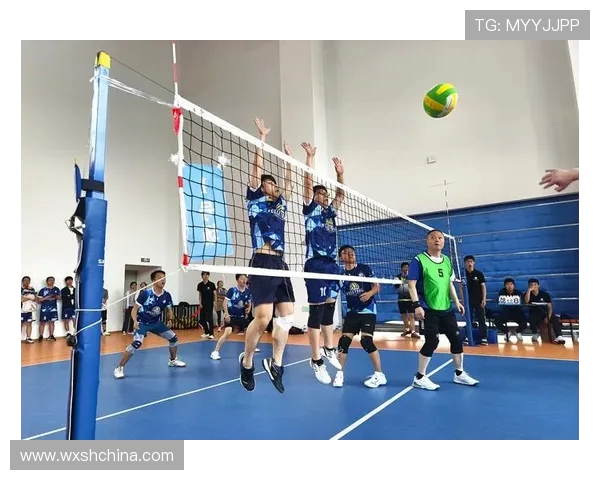 杭州排球队的节奏与魅力探秘：排球运动的激情与团队精神