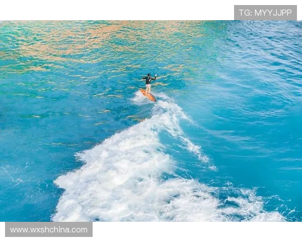 武汉极限运动队的节奏体系与极限运动战术的创新探索