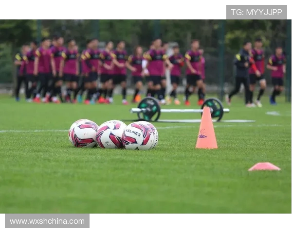 武汉排球队的阵地战策略与技战术深度解析 武汉排球队的阵地战策略与技战术深度解析