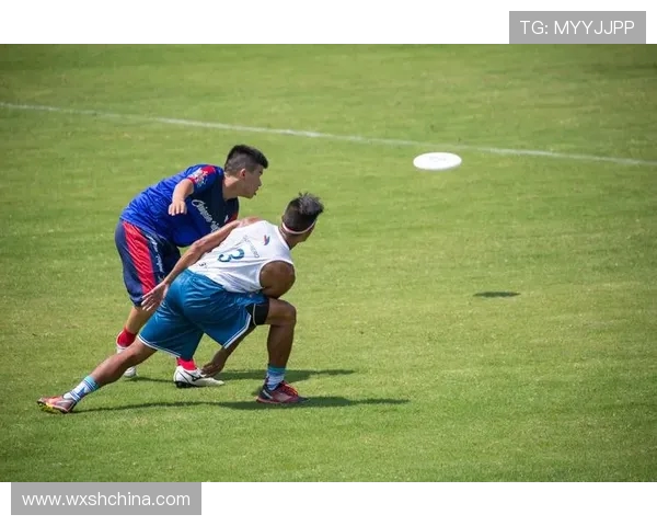 武汉飞盘队的速度之美:探索飞盘运动的魅力与团队精神 武汉飞盘队的速度之美:探索飞盘运动的魅力与团队精神