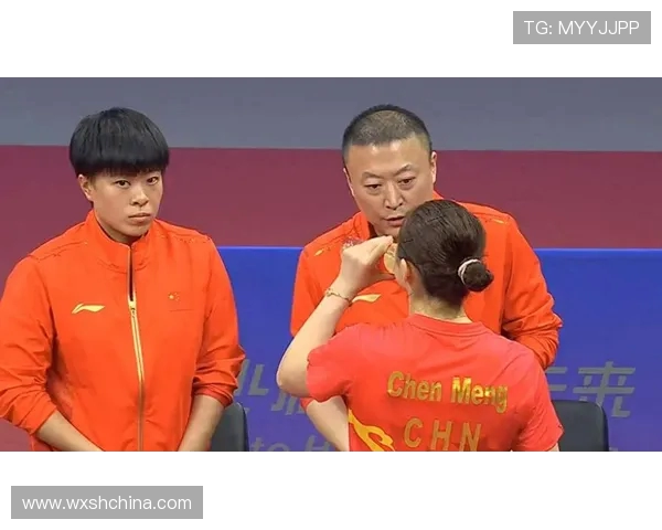 西安乒乓球队的耐力训练与竞技表现深度探讨