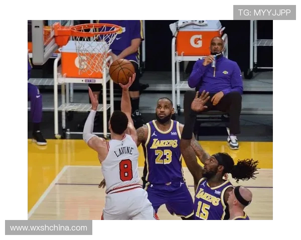 公牛与湖人对决盘口分析及比赛预测全解析