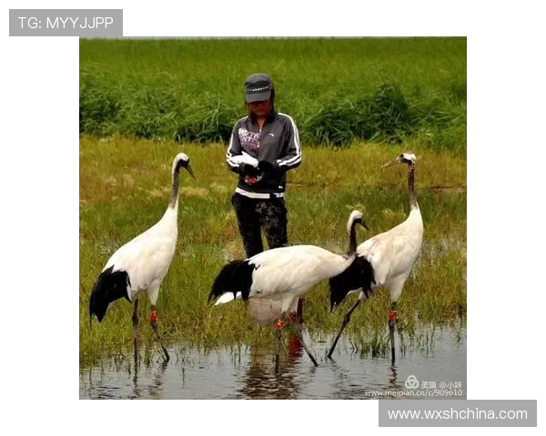 许钟豪的奋斗历程与成功秘诀探秘,激励年轻人追逐梦想的真实故事 许钟豪的奋斗历程与成功秘诀探秘,激励年轻人追逐梦想的真实故事