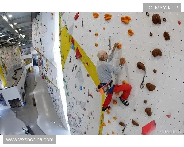 上海攀岩队心理素质提升显著创新高引发广泛关注与讨论