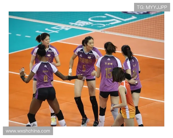 上海排球队与南京排球队对决后的战术分析与节奏探讨