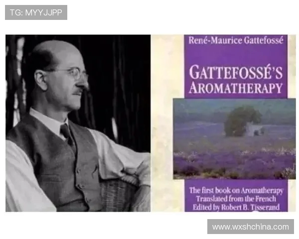 专访张娜:探讨CSGO背后的成功秘诀与发展历程 专访张娜:探讨CSGO背后的成功秘诀与发展历程