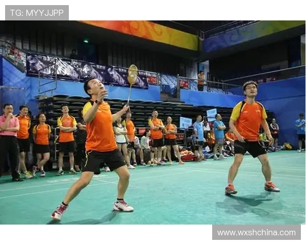 北京羽毛球队在杯赛中的经验与表现分析探讨