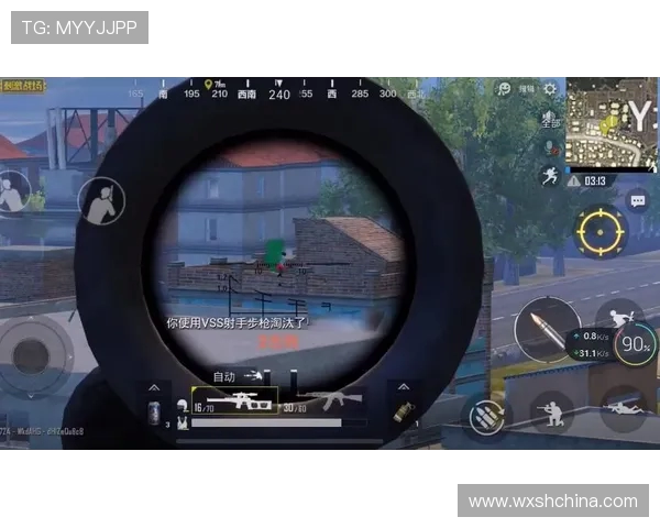 和平精英战术分析：深入探讨JDG在区域防守中的策略与执行