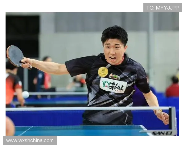 对话乒乓球名将周磊回顾辉煌生涯与未来展望