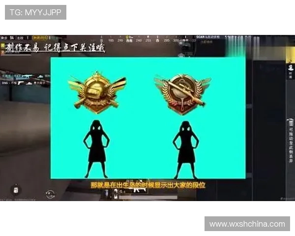 李敏独家分享王者荣耀游戏心得与技巧助你快速提升段位与实力