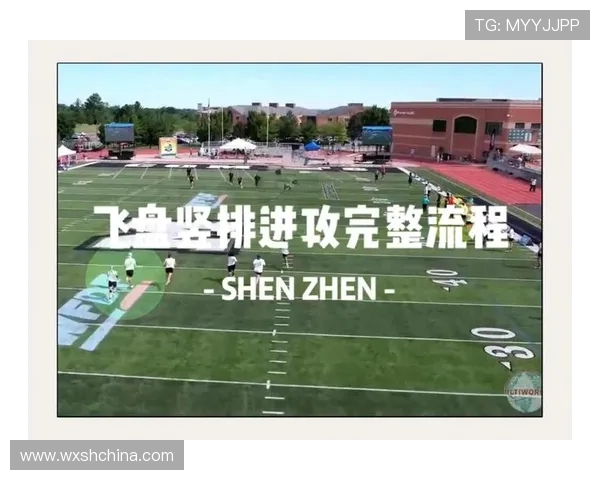 武汉飞盘队中路突破战术解析与实战应用探讨